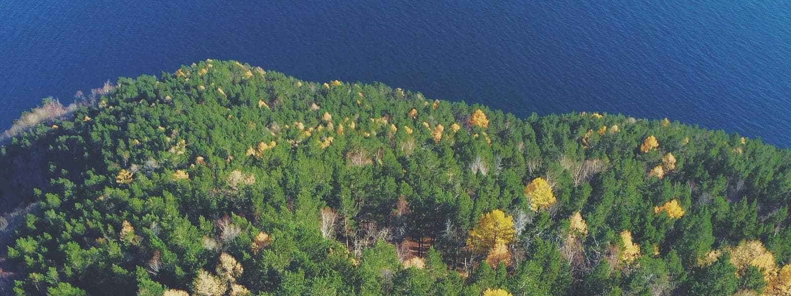 Ilustrasi background